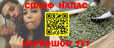 шишки Гусиноозёрск