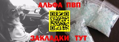 шишки Гусиноозёрск