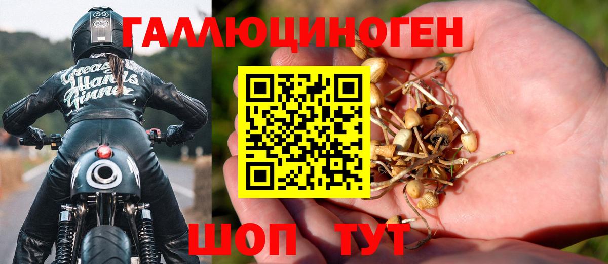 Михайловка  Гашиш  ГАШ  Канабис  Купить наркотик  Вход с VPN  АМФЕТАМИН кристаллы  Меф МЯУ МЯУ кристаллы  КОКАИН 